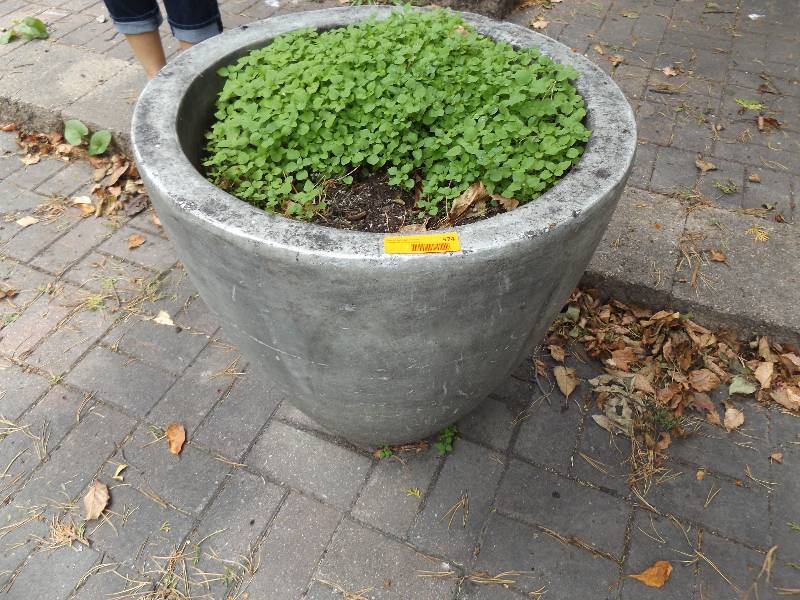lot 574 image: 24 x 24 Concrete Planter