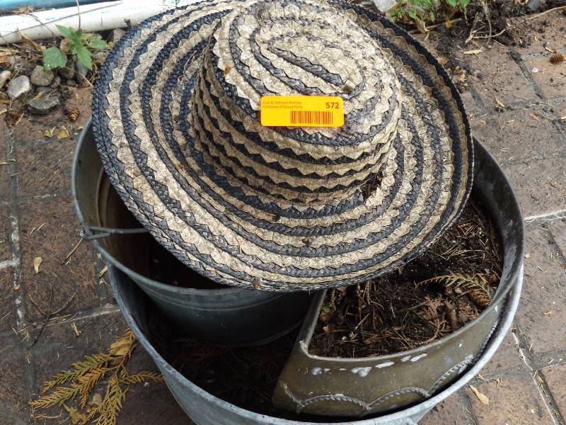 lot 572 image: Galvanized Tub, Bucket, Metal Planter