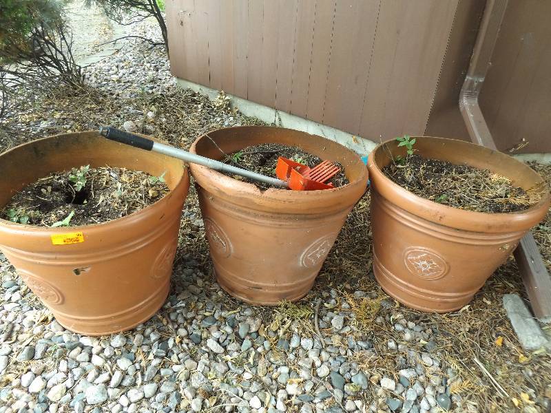 lot 568 image: Plastic Planters, Poo Scoop