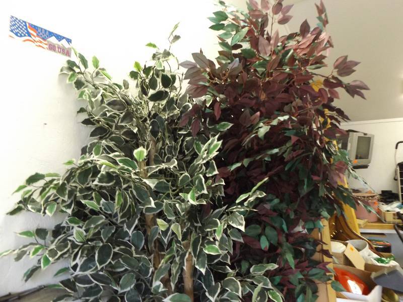 lot 601 image: Pet Gate, Artificial Trees, Wallpaper