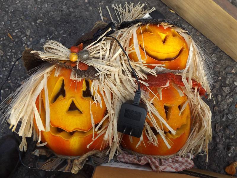 lot 417 image: Halloween Decorations and Pelican