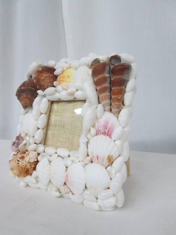 Biscayne White and Brown Shell Picture Frame