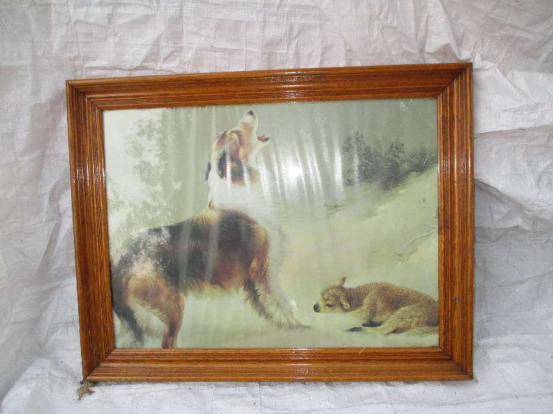 lot 10 image: framed nature sene of dog howlling ...