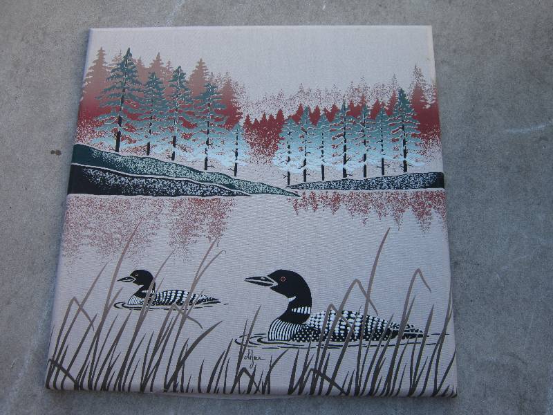 lot 123 image: cloth loon dcor, 24 x 24...