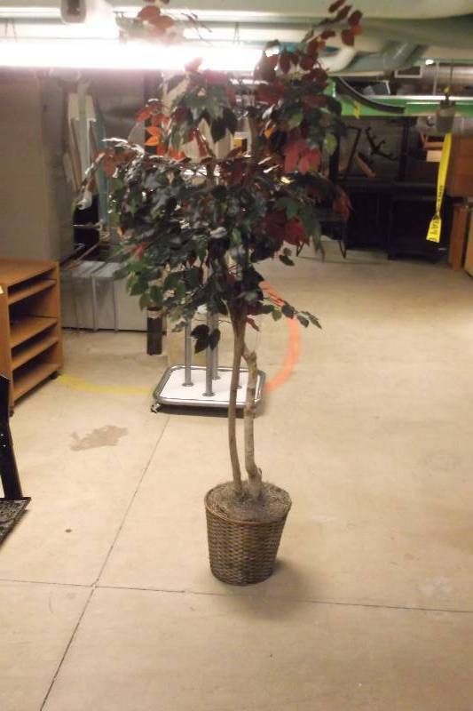Tree