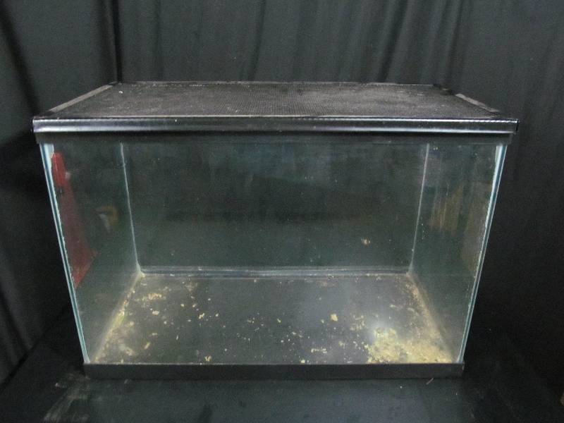 Fish Tank