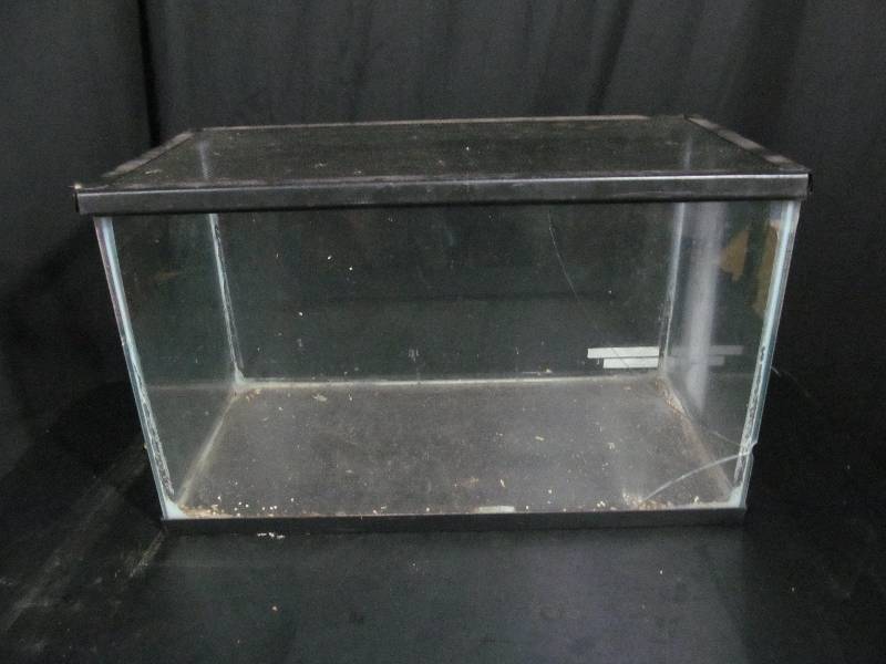 Fish Tank