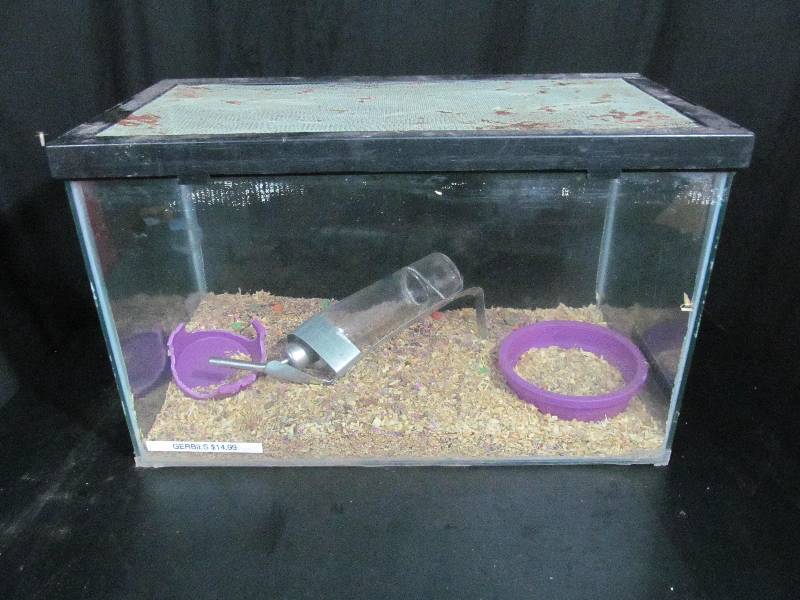 Fish Tank