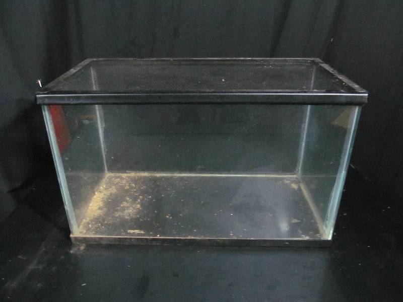 Fish Tank