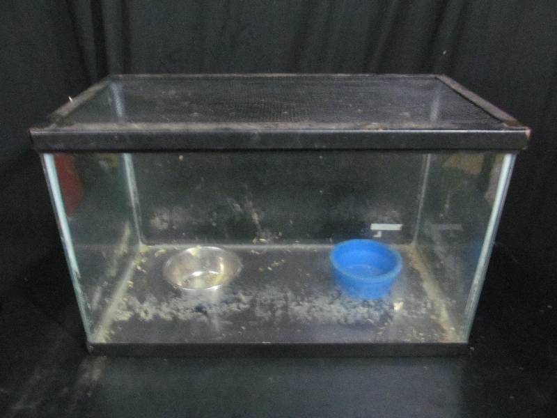 Fish Tank