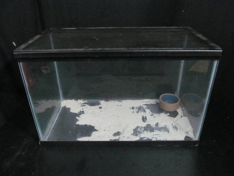 Fish Tank