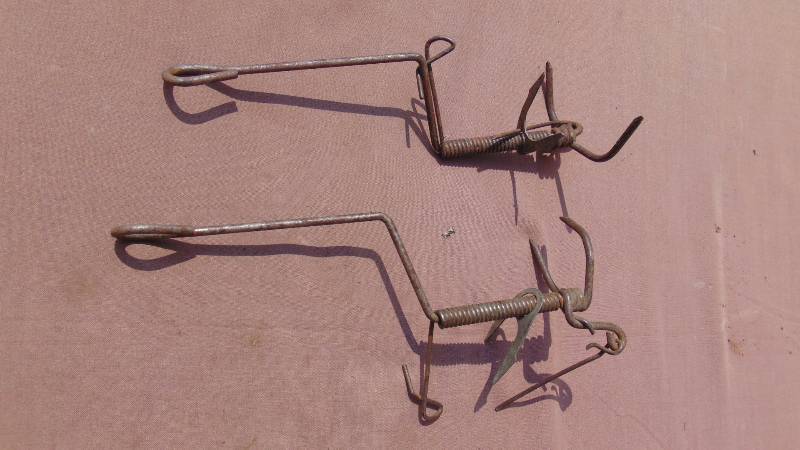 lot 377 image: Pair of Gopher Traps