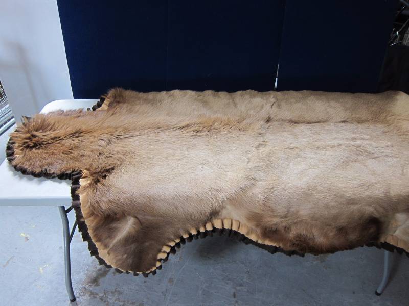 lot 4 image: Elk Rug