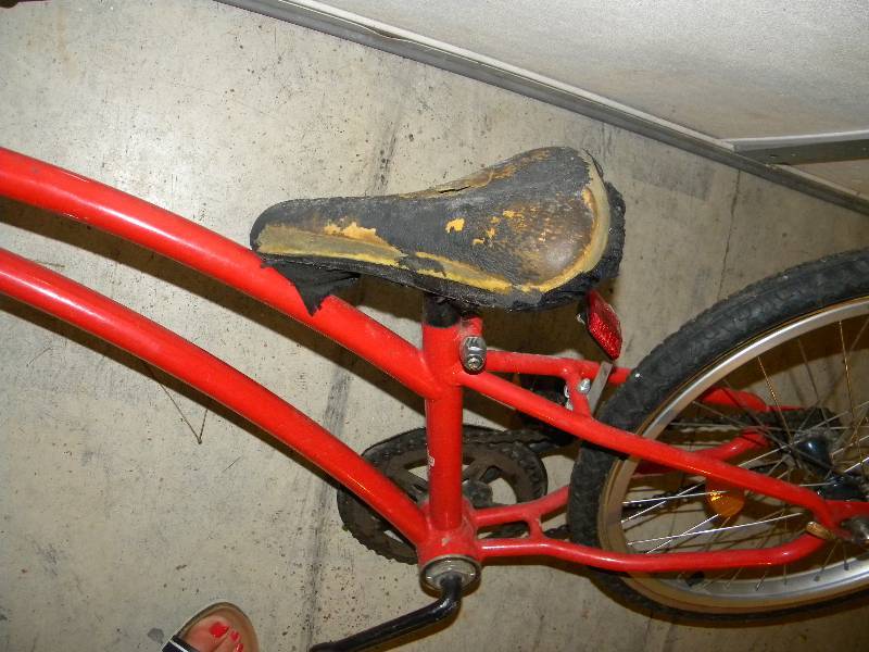 Tag along bike