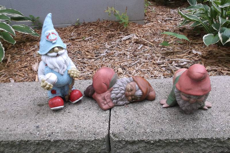 Knomes