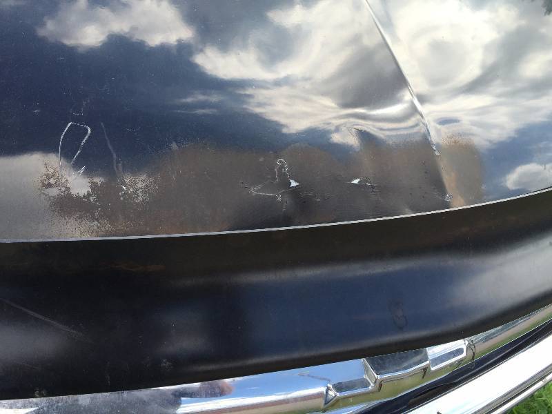 Seized & Forfieted Vehicle