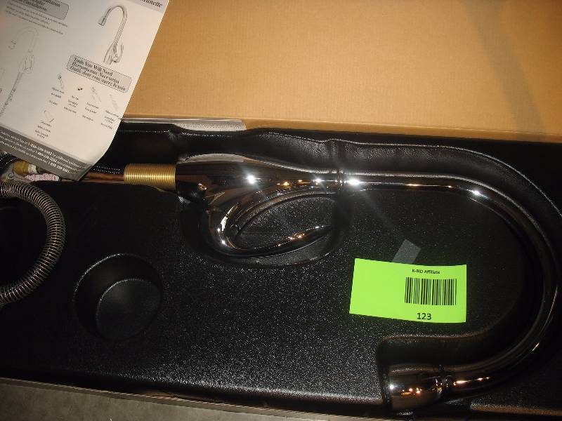 Danze Pull Out Faucet