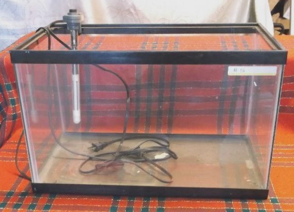 Fish Tank