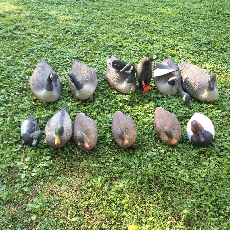 12 Assorted Goose & Duck Hunting Decoys