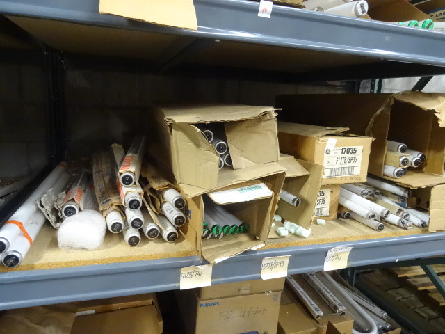 T8 and T 12 Bulbs