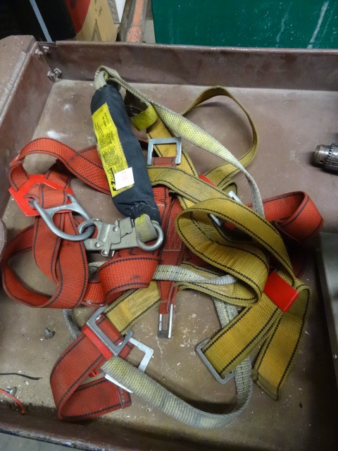 Fall Restraint Harness