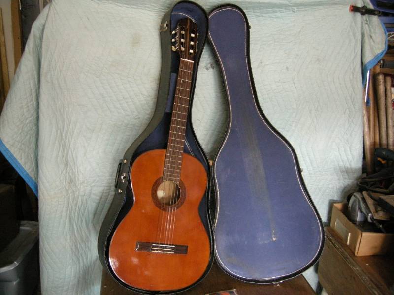 Acoustic guitar