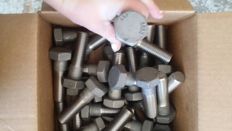 Hex bolt