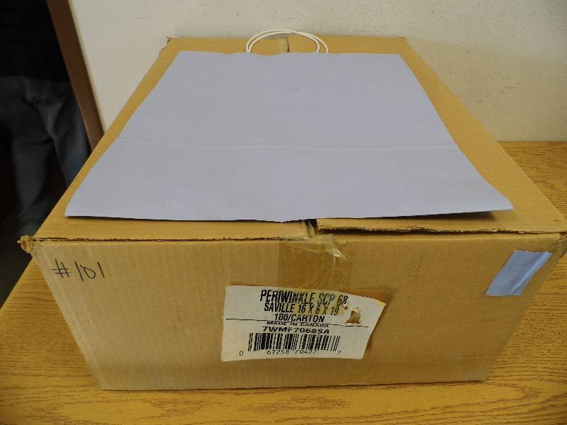 Case of Shopping Bags