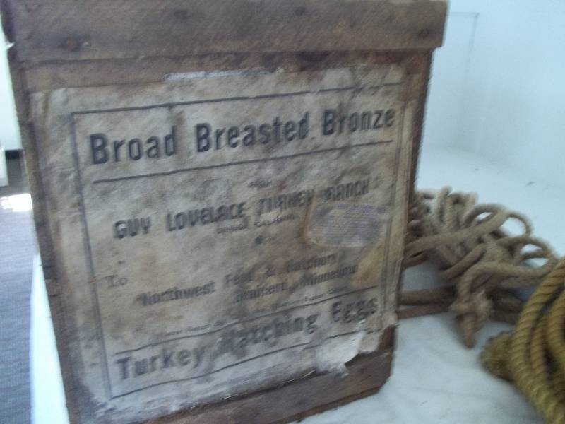 Old Box and Some Rope