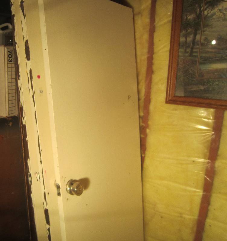 lot 305 image: White Painted Door 80 x 30