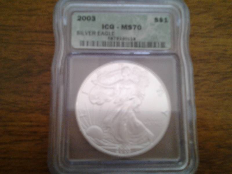 2003 Silver Eagle ICG-MS70