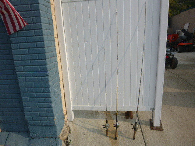 lot 198 image: 3 Rod and Reels