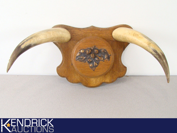 lot 1 image: Authentic Wall Hanging Bull Horns