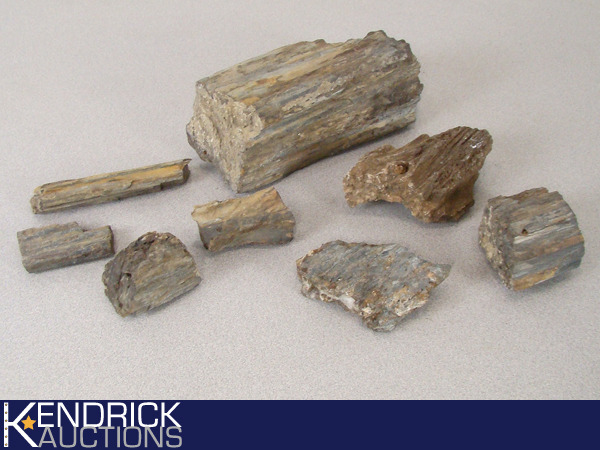 lot 33 image: Lot of Collectible Petrified Wood