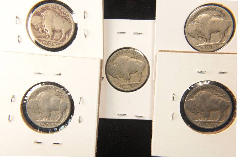 GROUP OF 5 BUFFALO NICKELS AS PICTURED