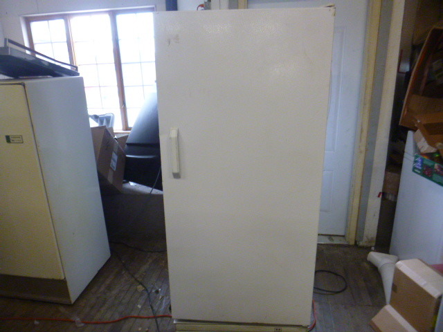 lot 1 image: Upright Freezer
