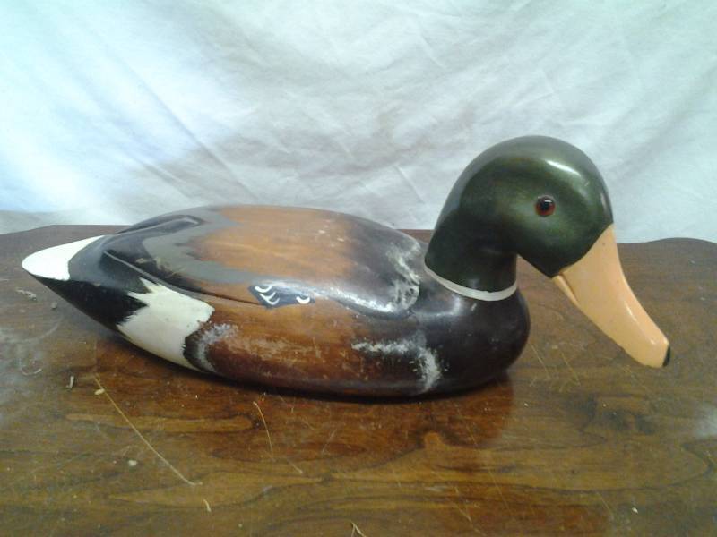 Duck Decoy