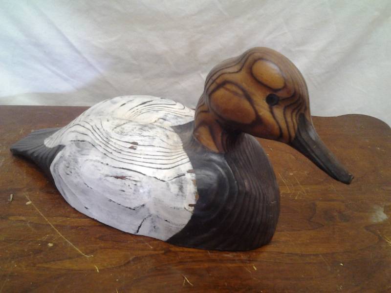 Duck Decoy