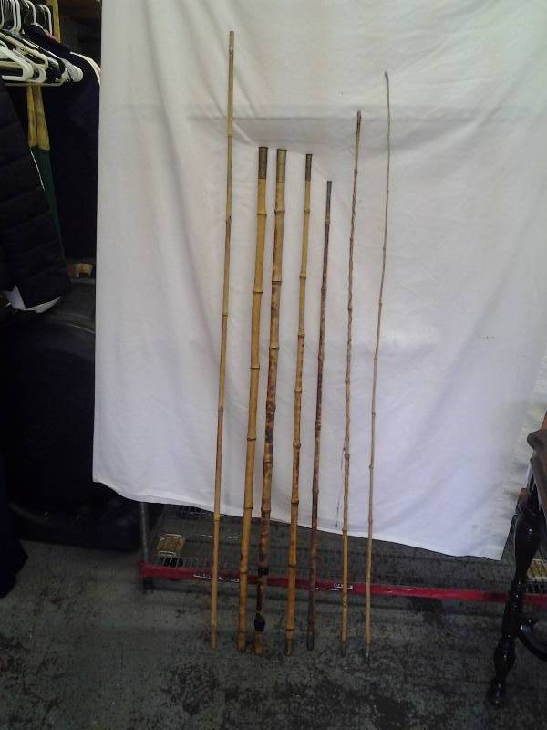 2-Cane Poles