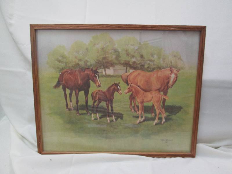 Picture of horses...