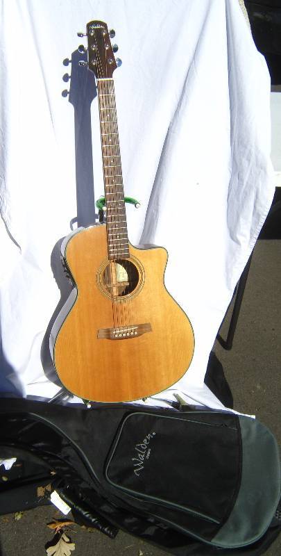 lot 621 image: Walden Guitar and Case Concorda CS500CE