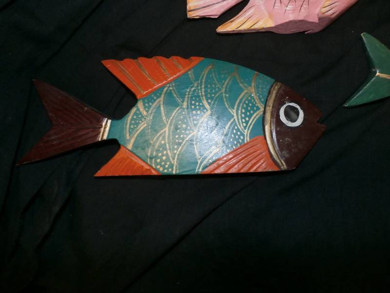 Fish