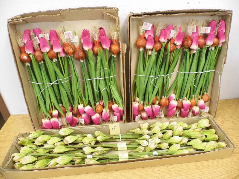 lot 18 image: Assorted New Floral