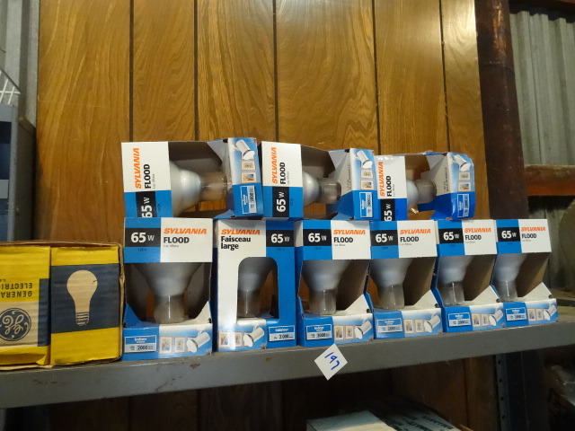 Shelf of Misc Lamps
