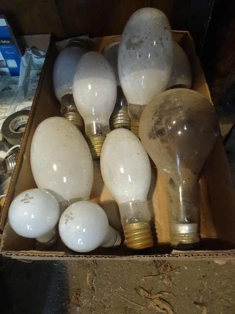 Shelf of Misc Lighting Lamps