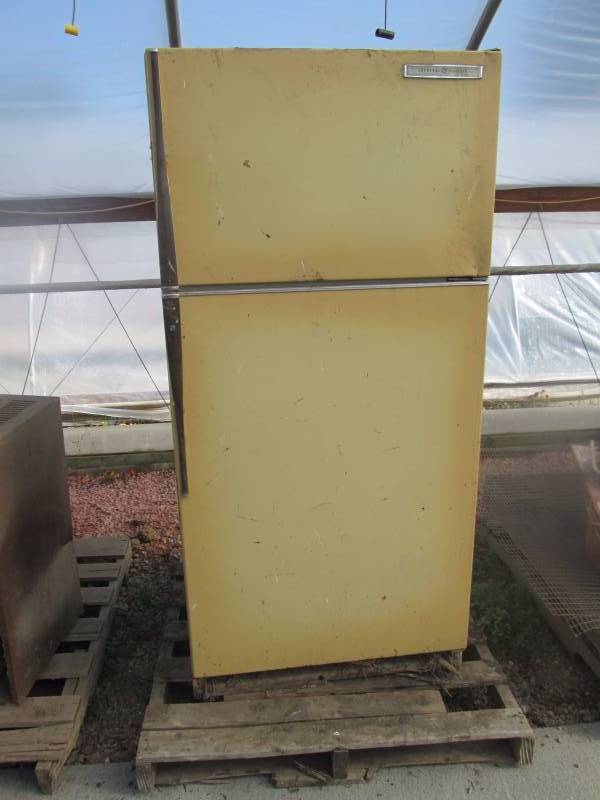 GE Refrigerator