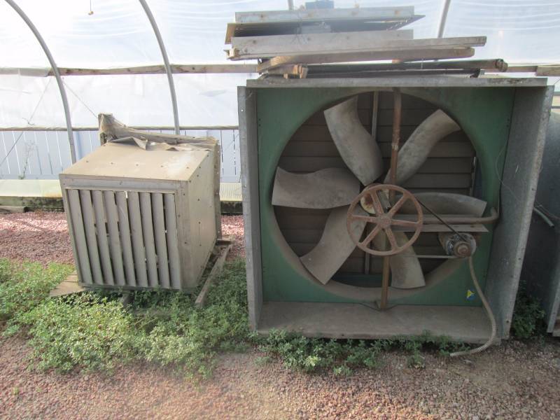 3 Box Fans