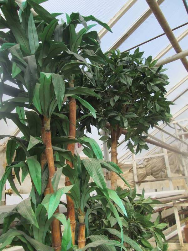 2 Fake Trees
