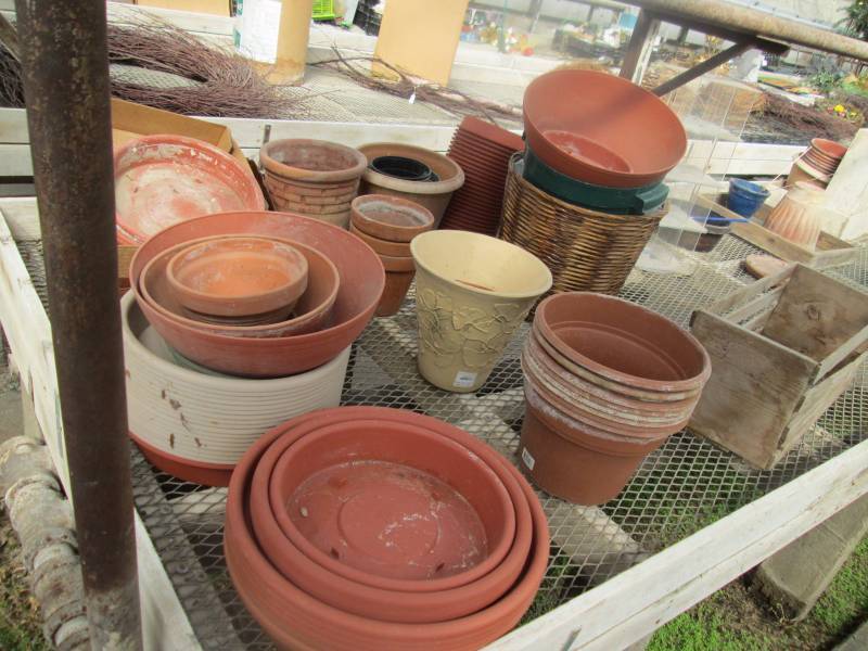Planters and Decor