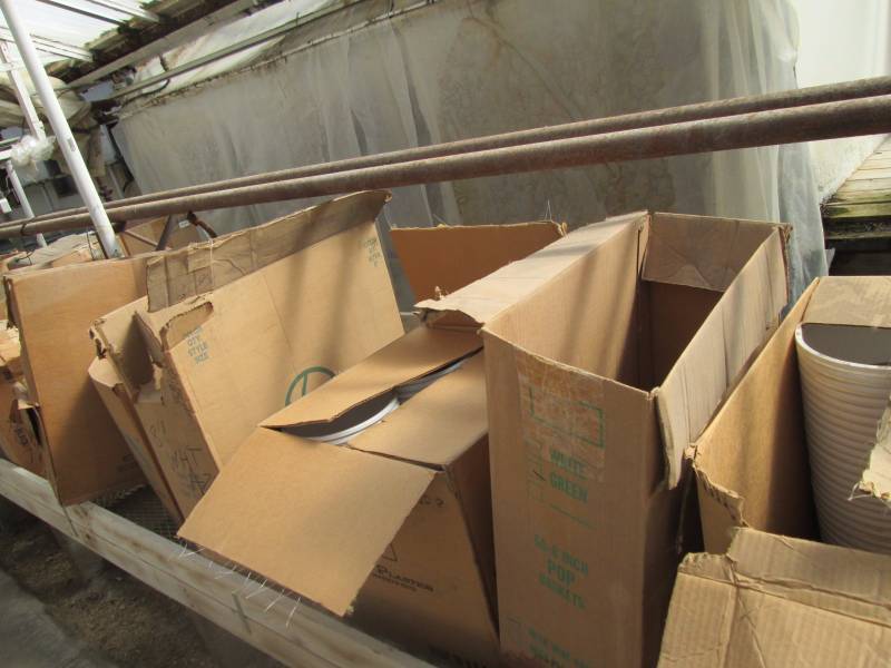 7 Boxes of Deco Pots